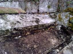 shannonbridge cap-1366.jpg